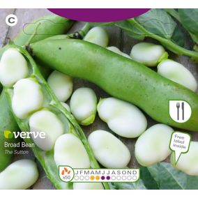 Verve Borad bean sutton Vegetable Seeds