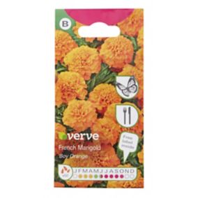 Verve Boy orange Marigold Seeds