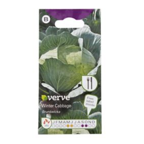 Verve Brunswicka winter cabbage Seeds