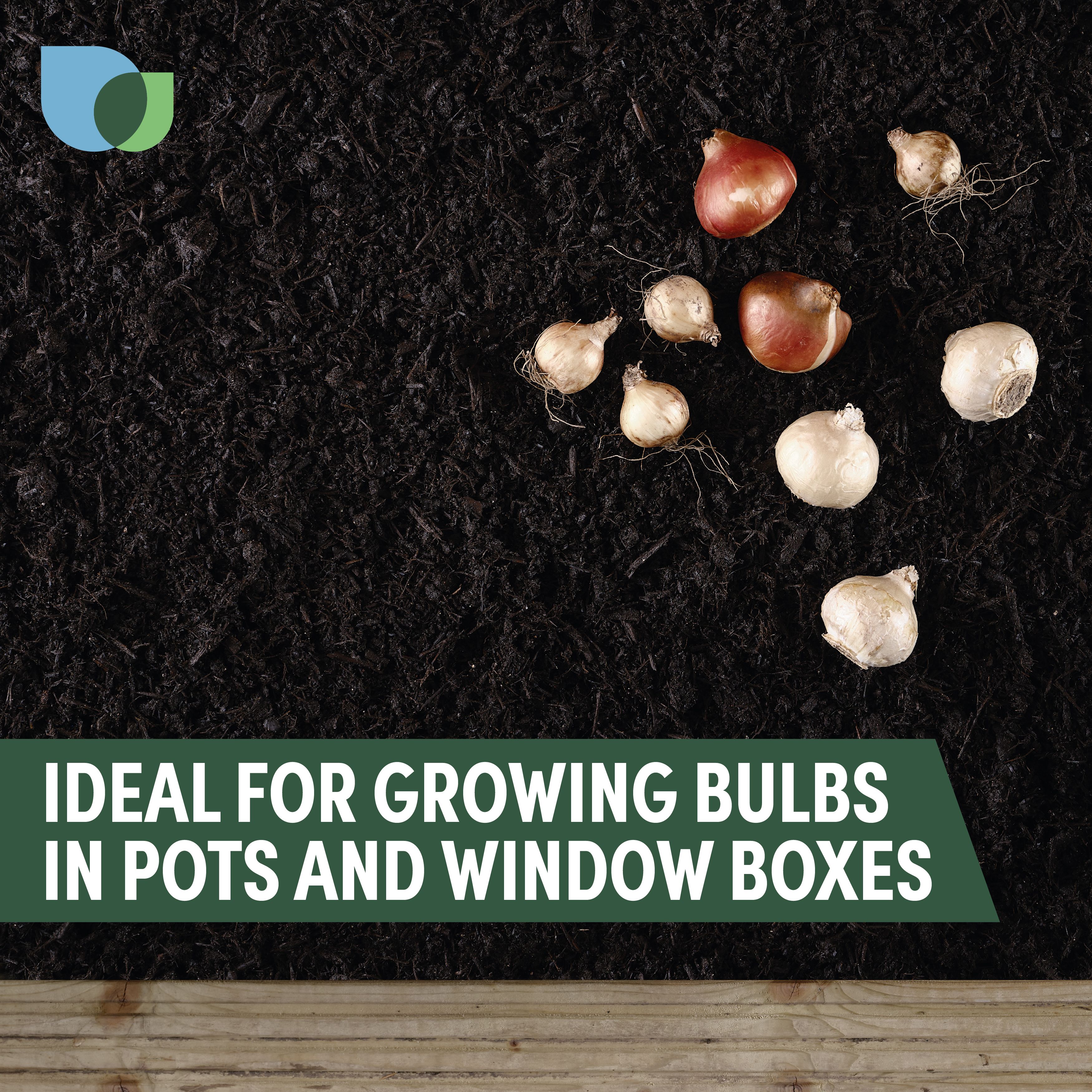 Verve Bulb planting Peat-free Compost 20L