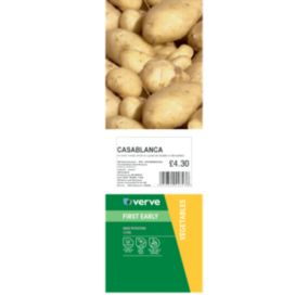 Verve Casablanca Seed Potato