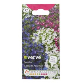 Verve Cascade Lobelia Seeds