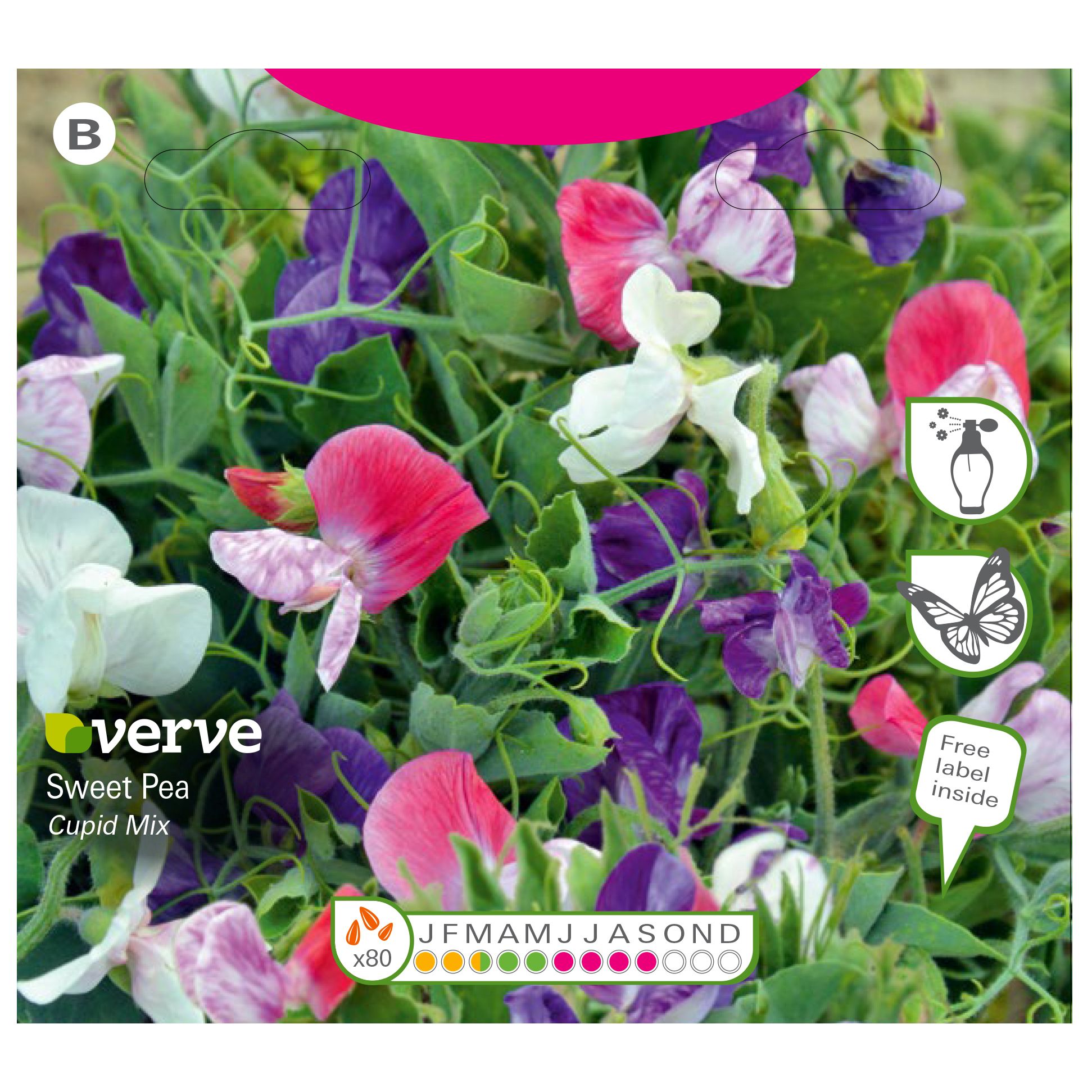 Verve Cascading mix Sweet pea Seeds