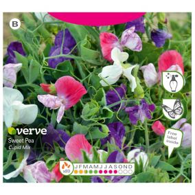 Verve Cascading mix Sweet pea Seeds