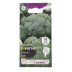 Verve Cezar broccoli Vegetable Seeds