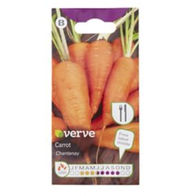 Verve Chantenay carrot Seeds