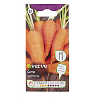 Verve Chantenay carrot Seed