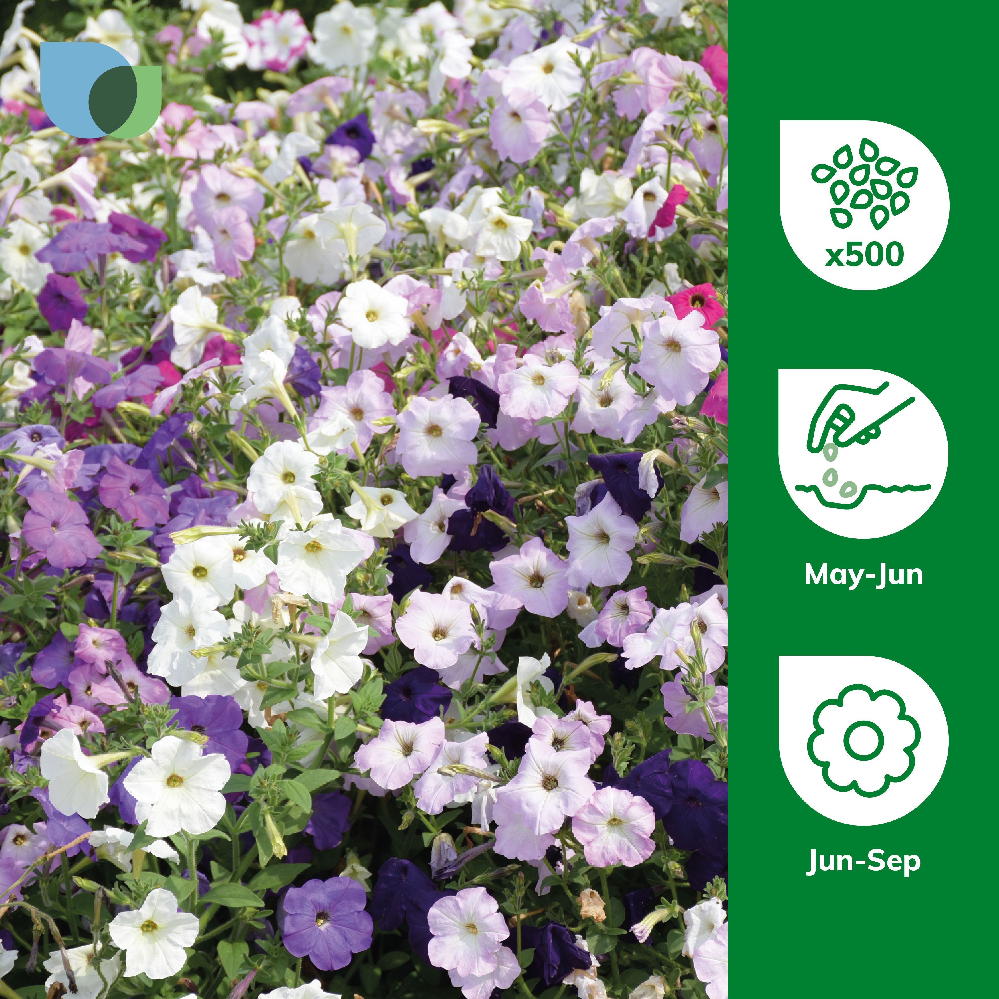 Verve Cheerful Assorted F2 Petunia Seeds