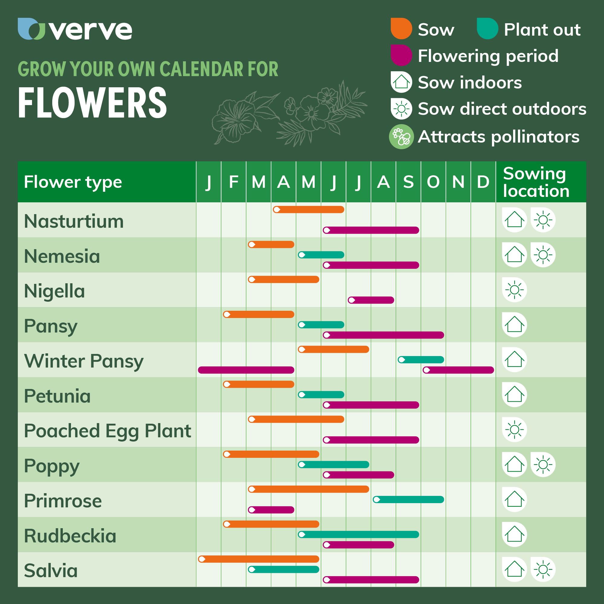 Verve Cheerful Assorted F2 Petunia Seeds