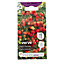 Verve Cherry cascade cherry tomatoes Tomato Seed