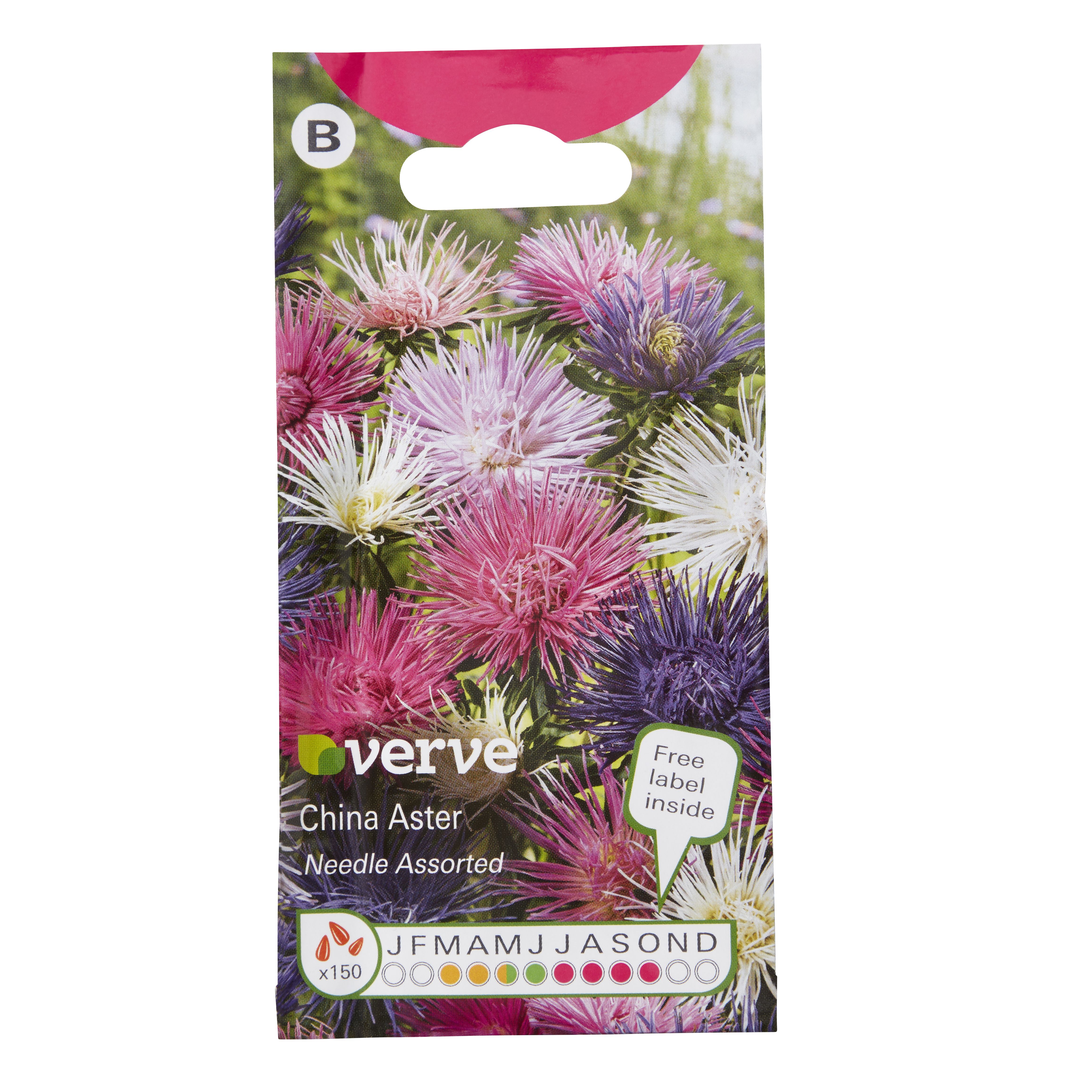 Verve China needle Aster Seeds