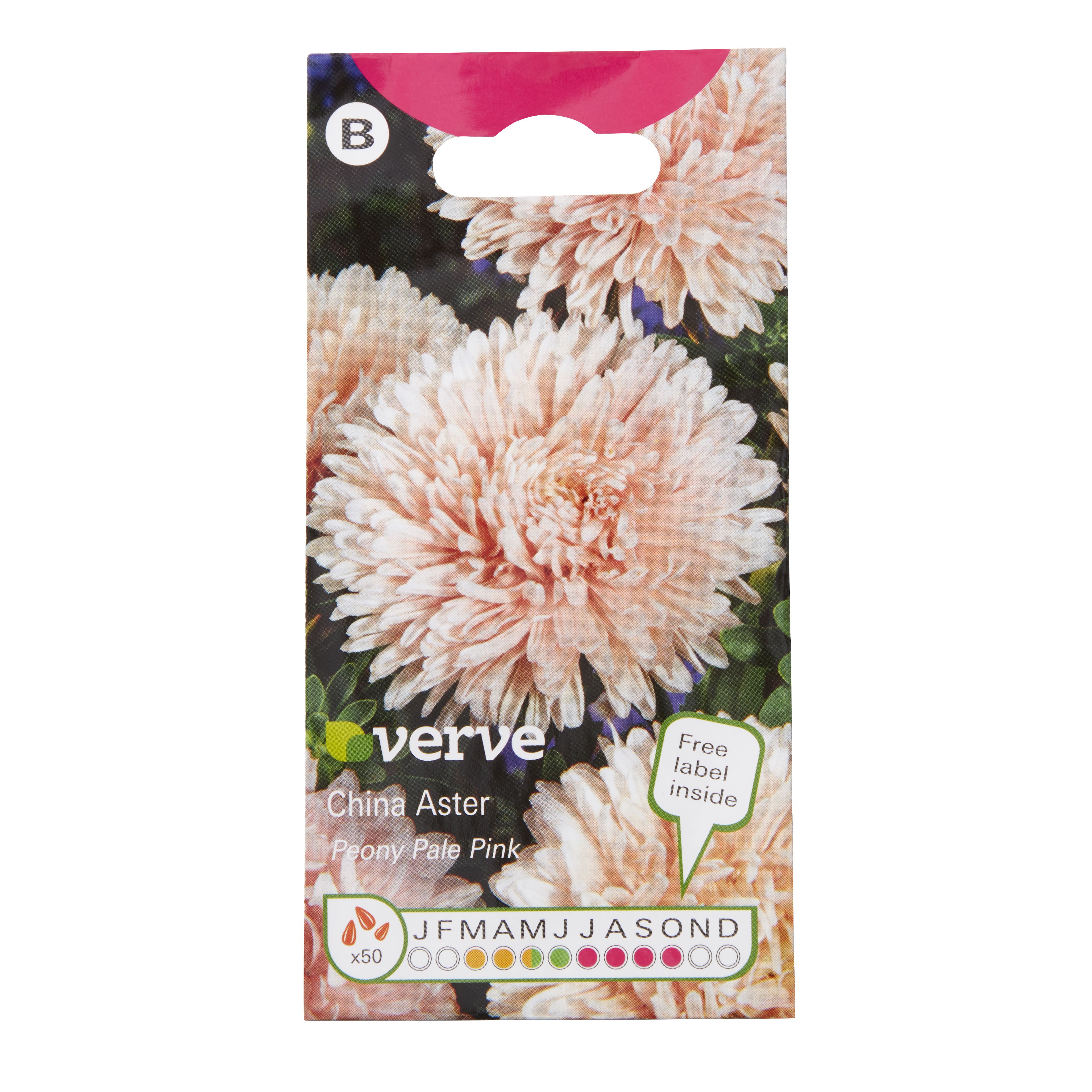 Verve China peony Aster Seeds