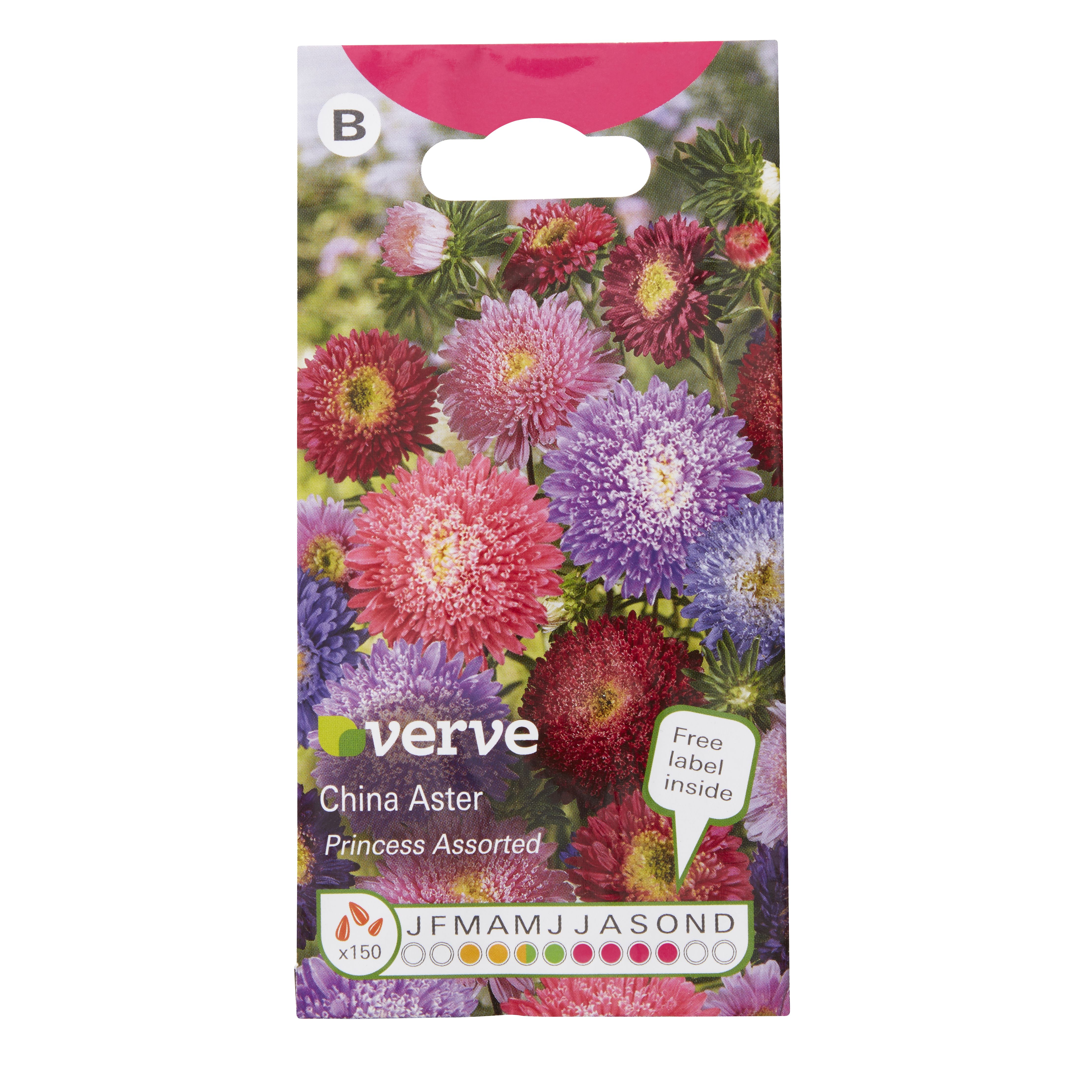 Verve China princess Aster Seeds