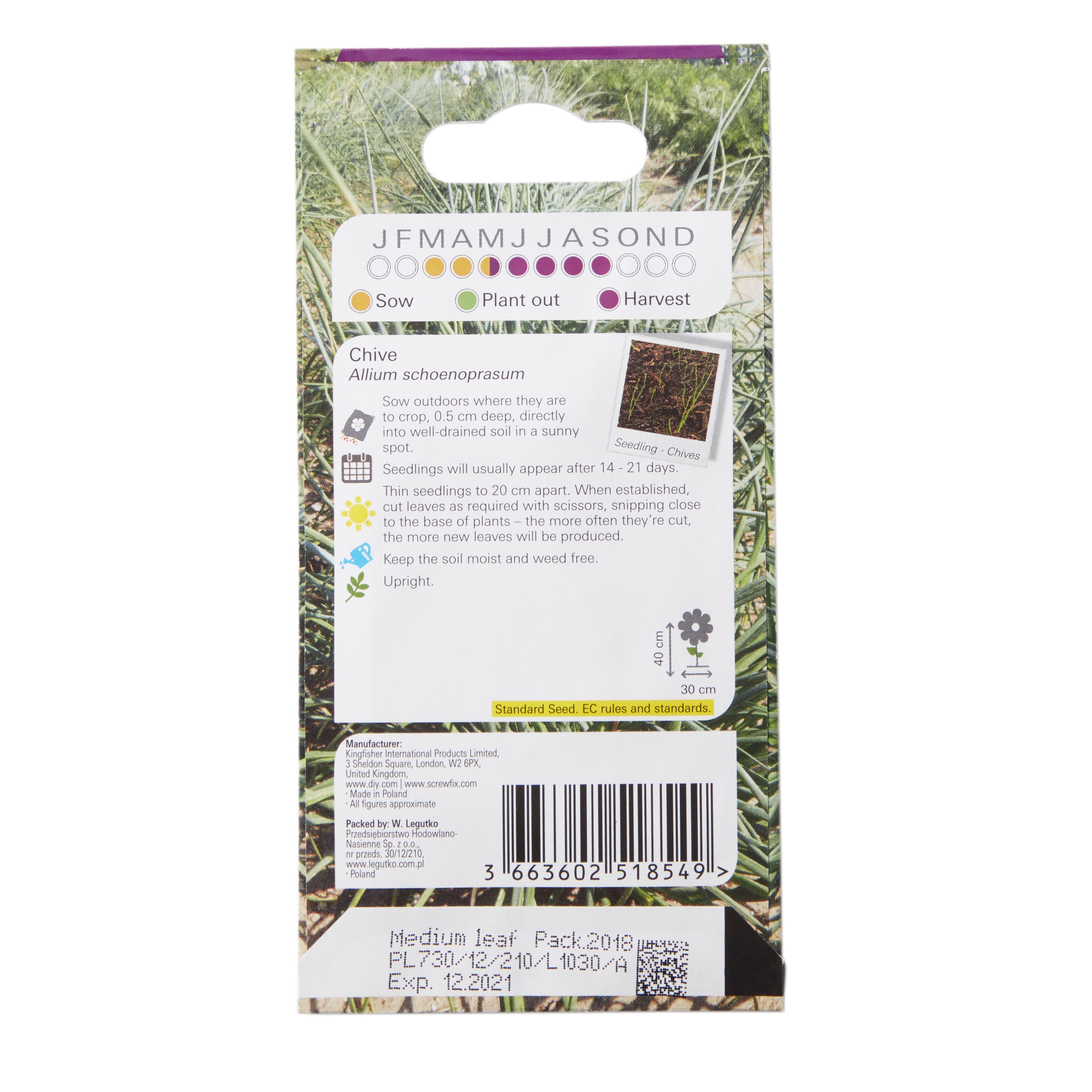 Verve Chive Herb Seeds