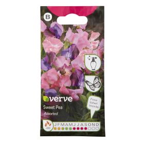 Verve Climbing mix Sweet pea Seeds