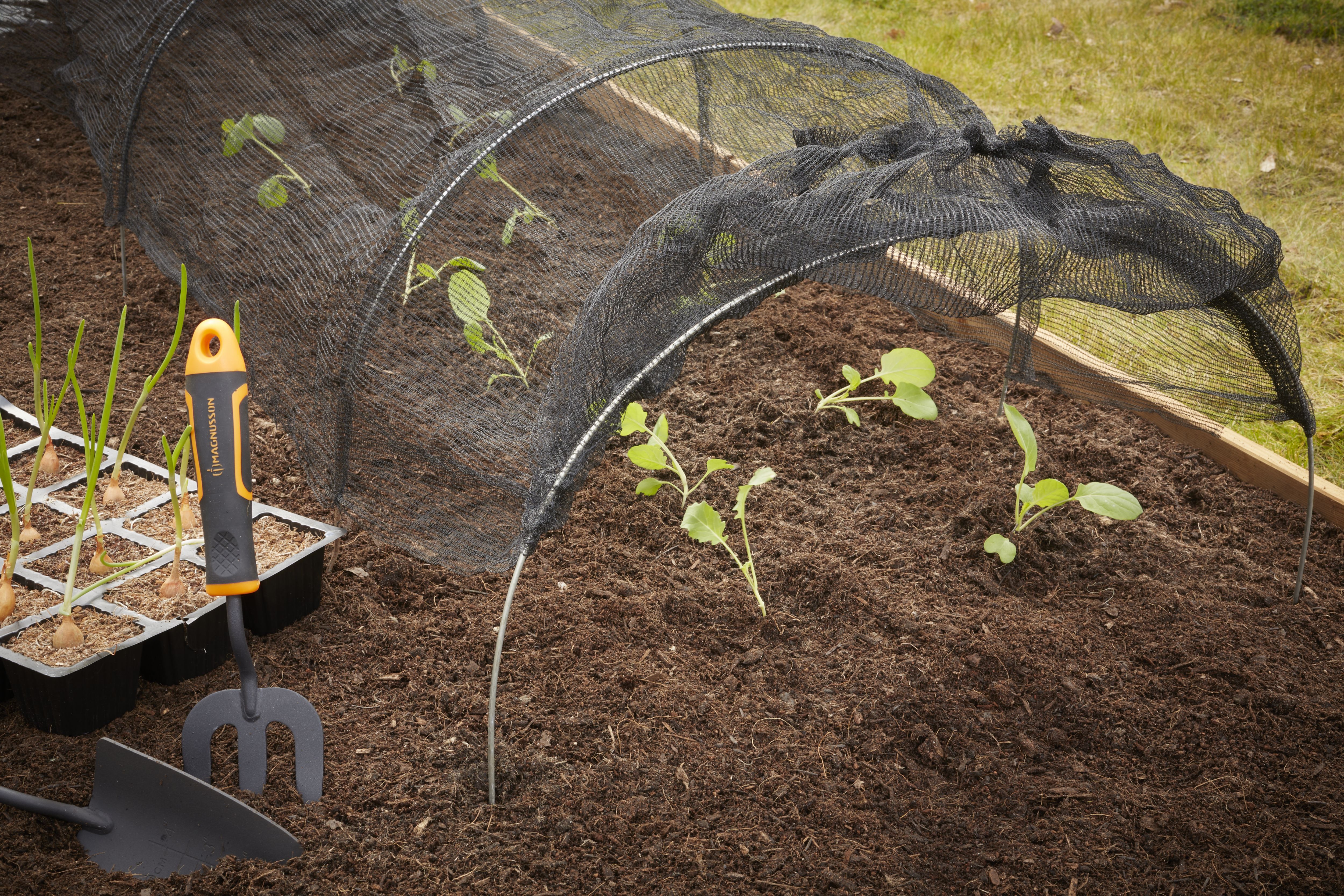Verve Collapsible Cloche