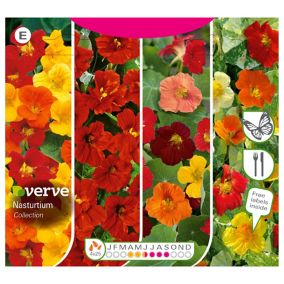 Verve Collection Nasturtium Seeds