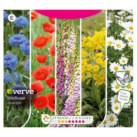 Verve Collection Wildflower Seeds