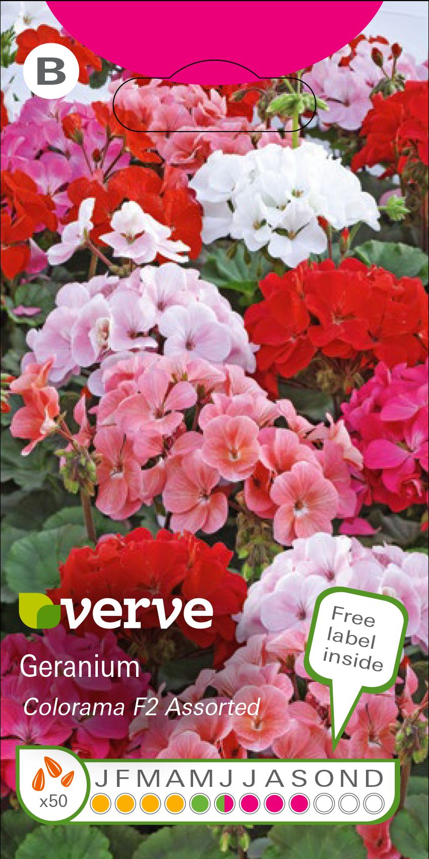 Verve Colorama F2 Geranium Seeds