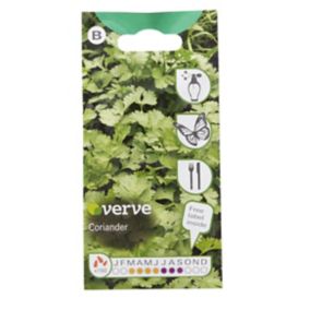 Verve Coriander Seeds