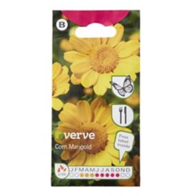 Verve Corn Marigold Seeds