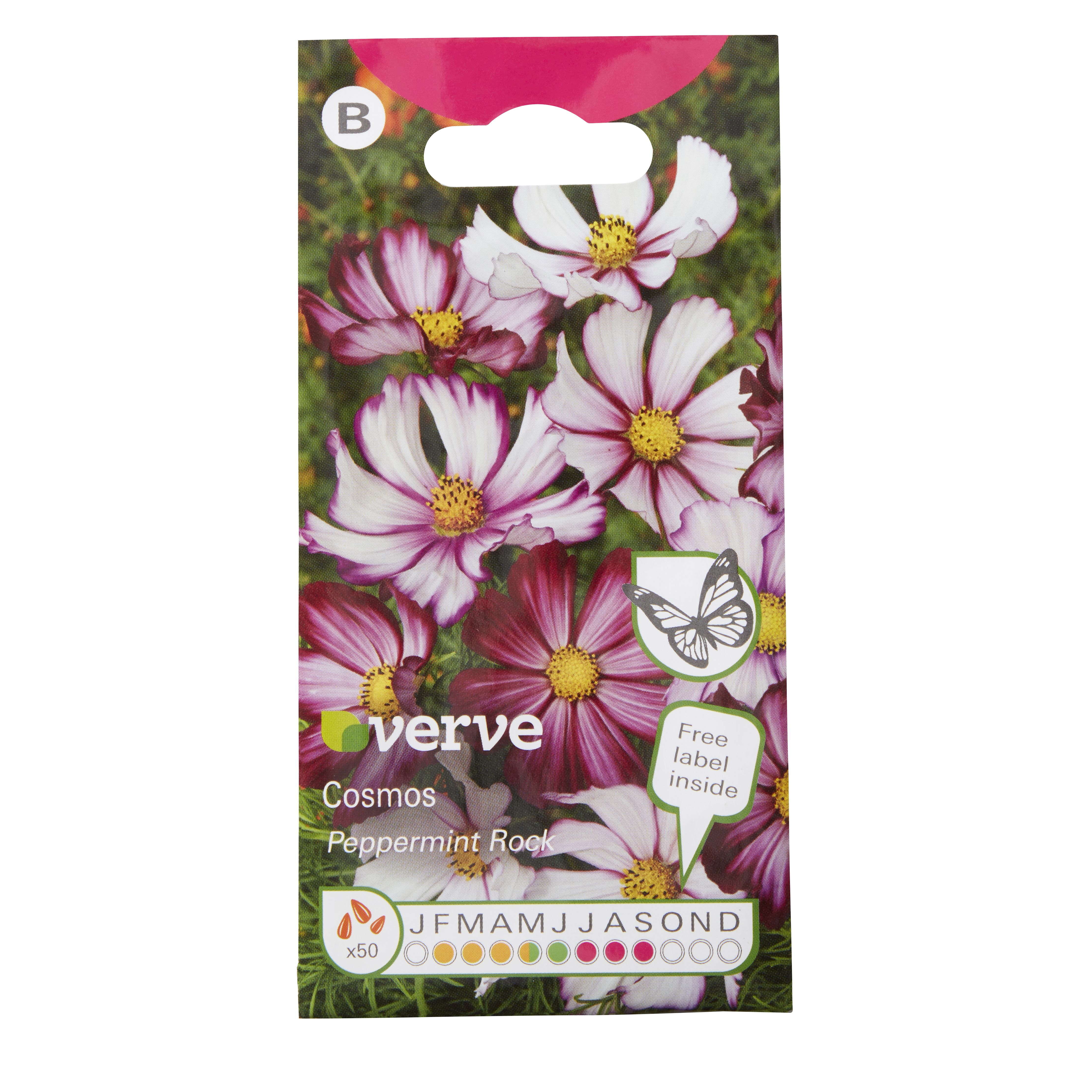 Verve Cosmos peppermint rock Herb Seeds