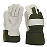 Verve Cotton Green & white Gardening gloves Large, Pair