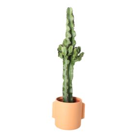 Verve Cowboy cactus in Terracotta Ceramic Decorative pot 19cm