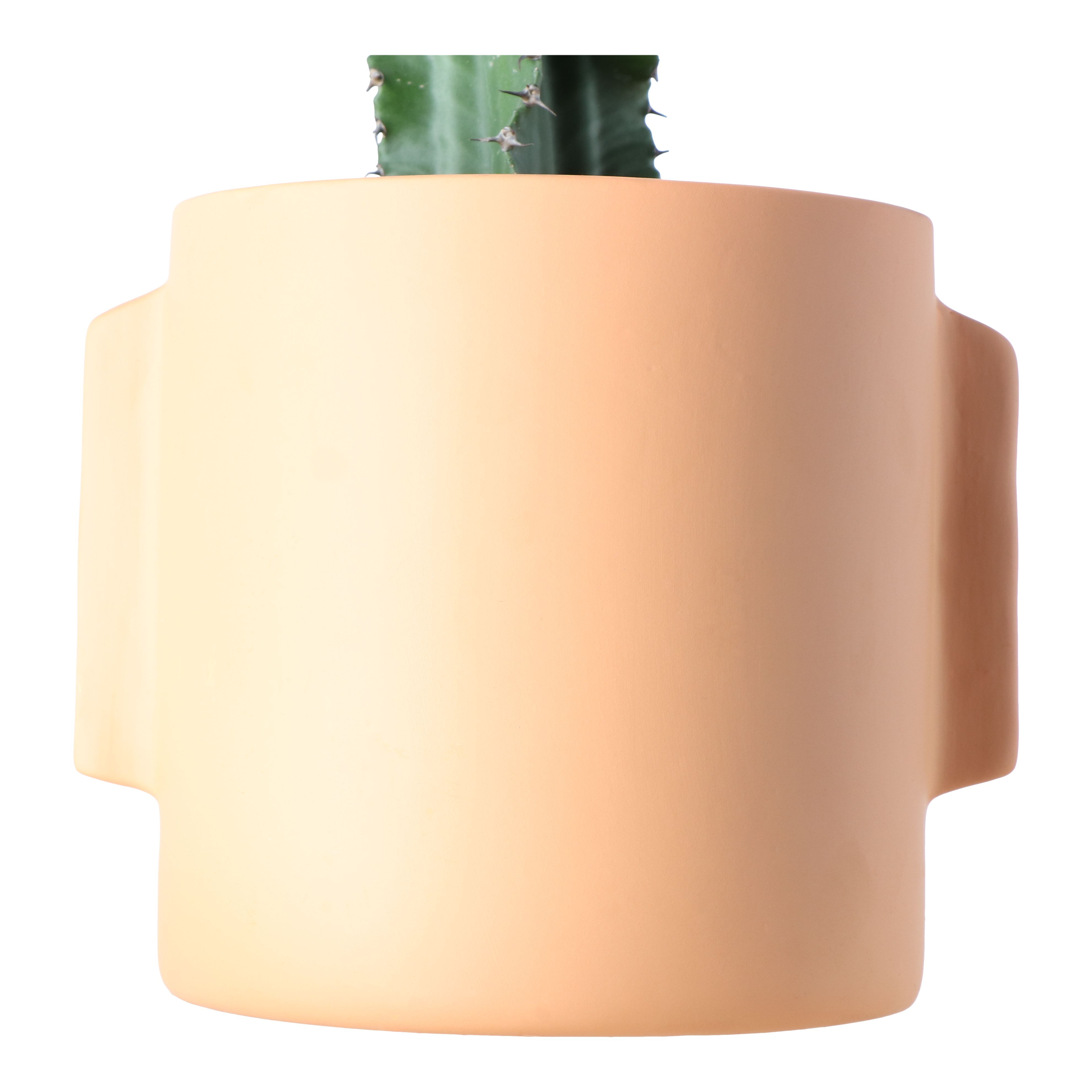 Verve Cowboy cactus in Terracotta Ceramic Decorative pot