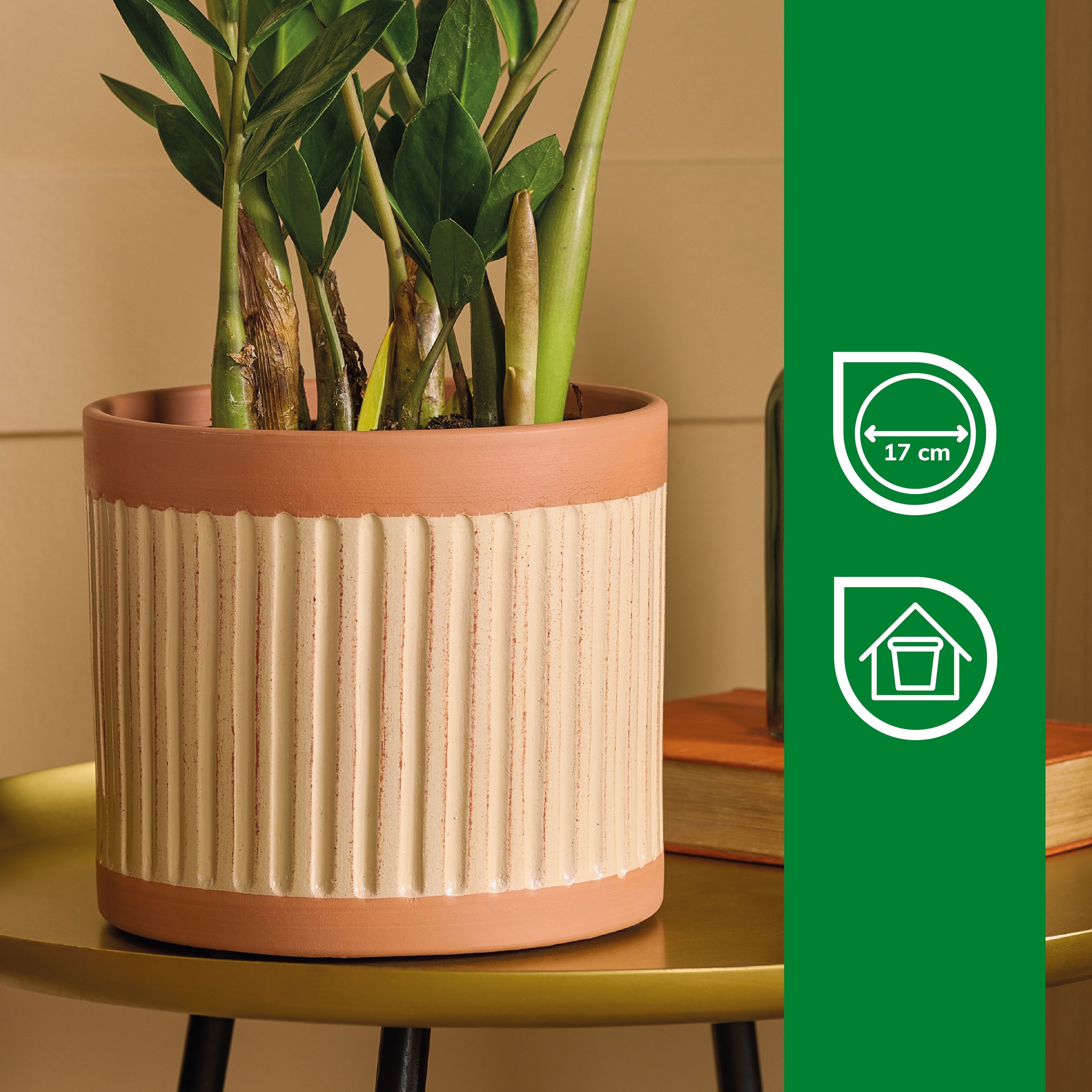 Verve Cream Ribbed Terracotta Plant pot (Dia) 30cm, (H)12cm