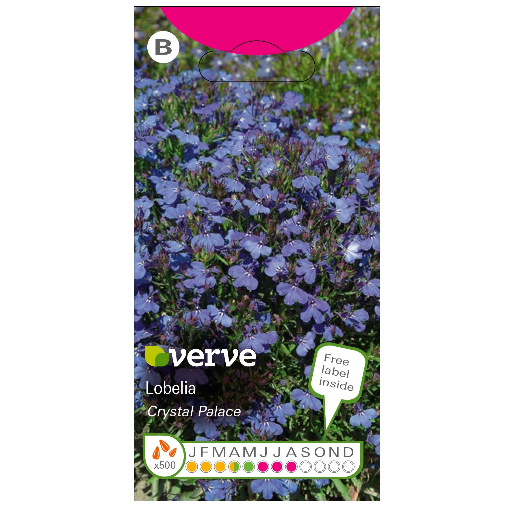 Verve Crystal palace Lobelia Seeds