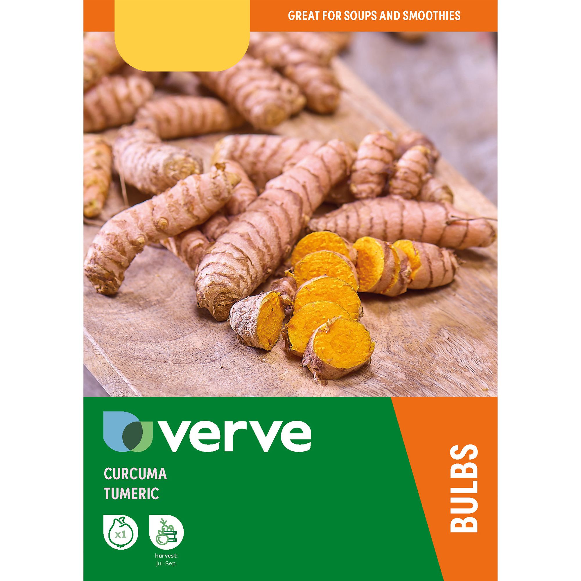 Verve Curcuma Turmeric Tuber