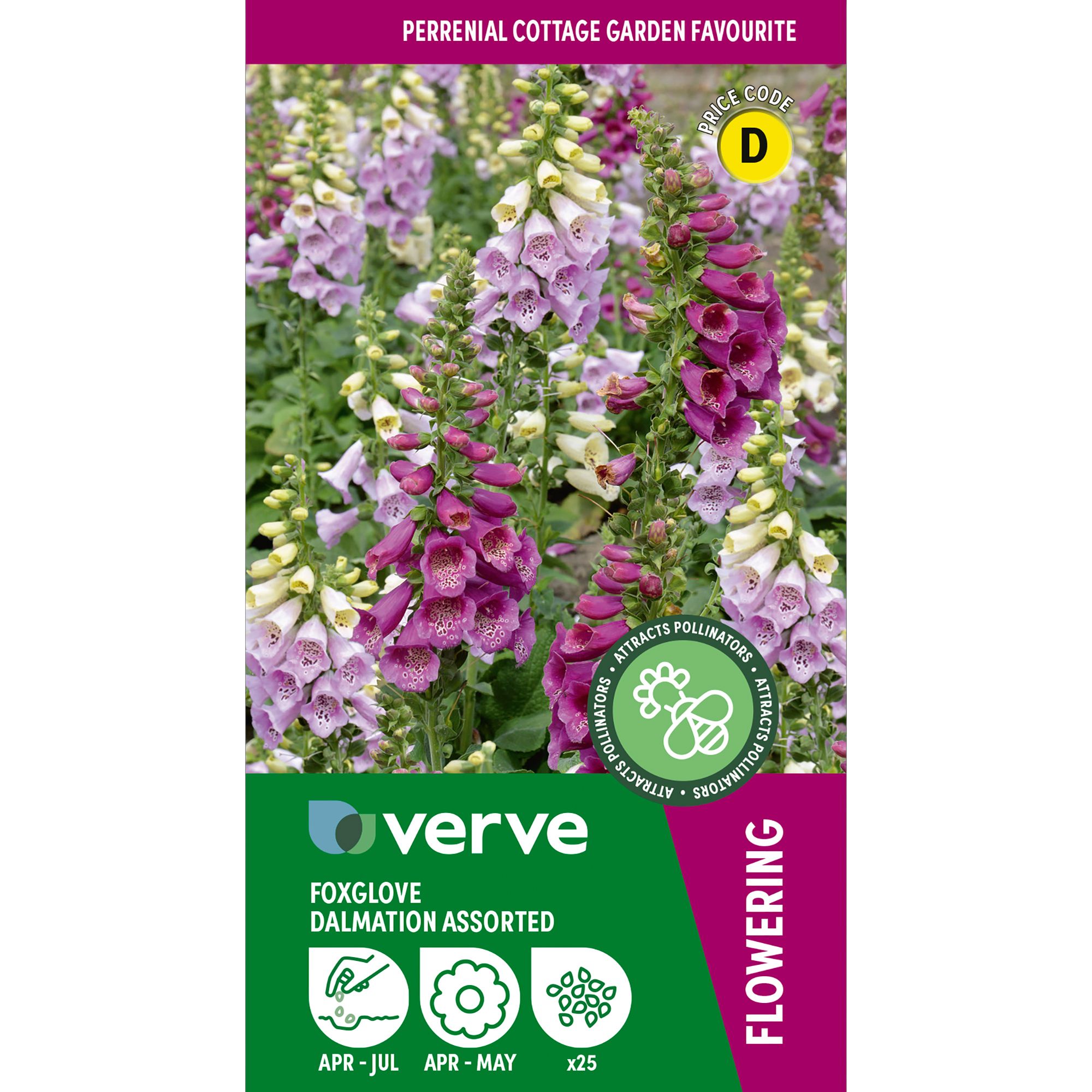 Verve Dalmation Assorted Foxglove Seeds
