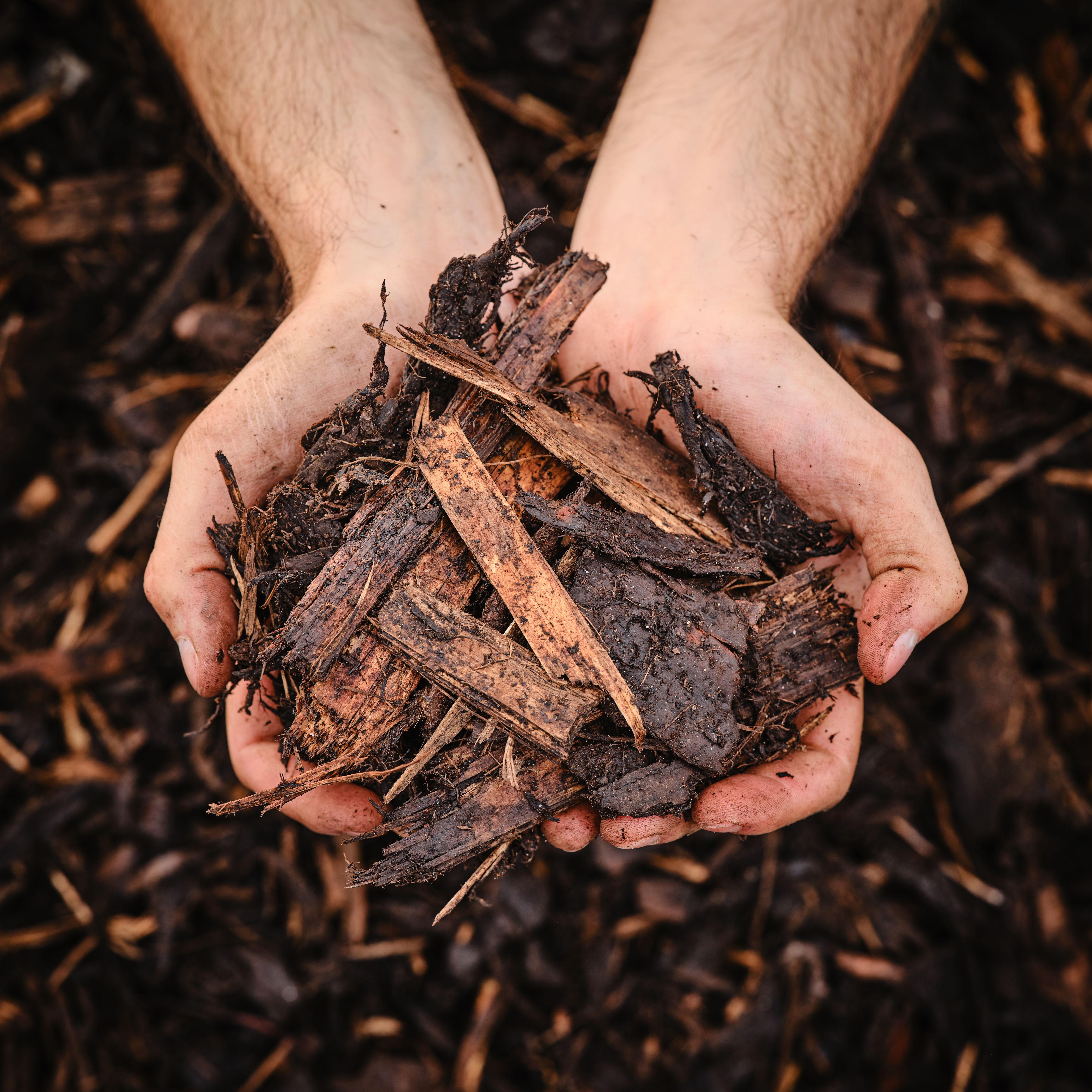 Verve Dark brown Large Bark chippings 100L Bag