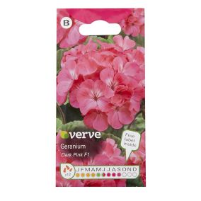 Verve Dark pink F1 Geranium Seeds