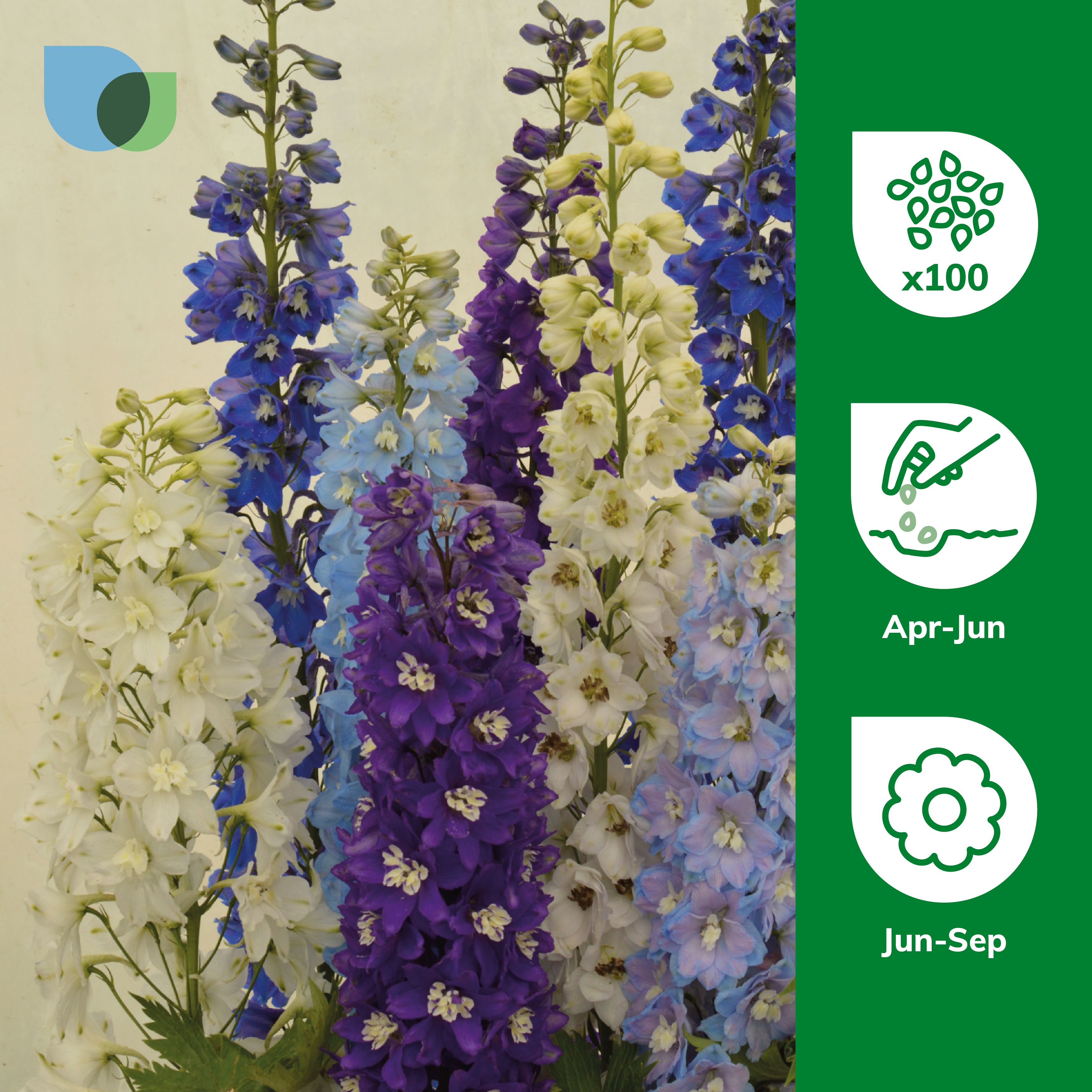Verve Delight Mix Delphinium Seeds
