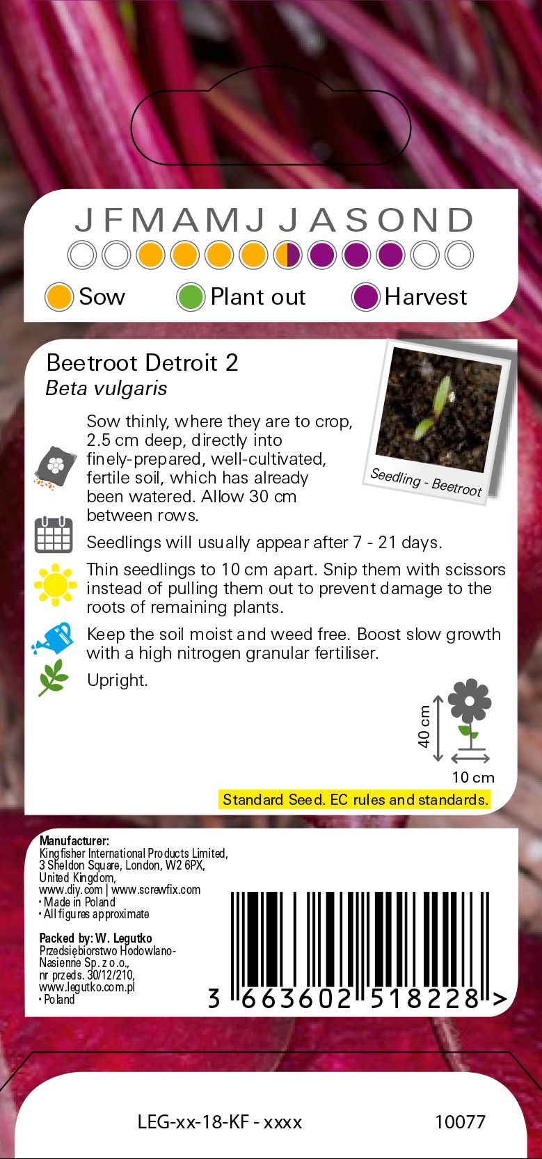 Verve Detroit 2 beetroot Seeds