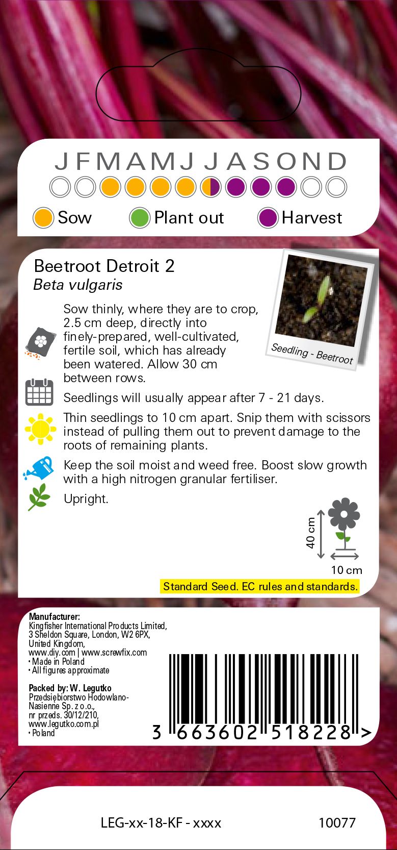 Verve Detroit 2 beetroot Seed