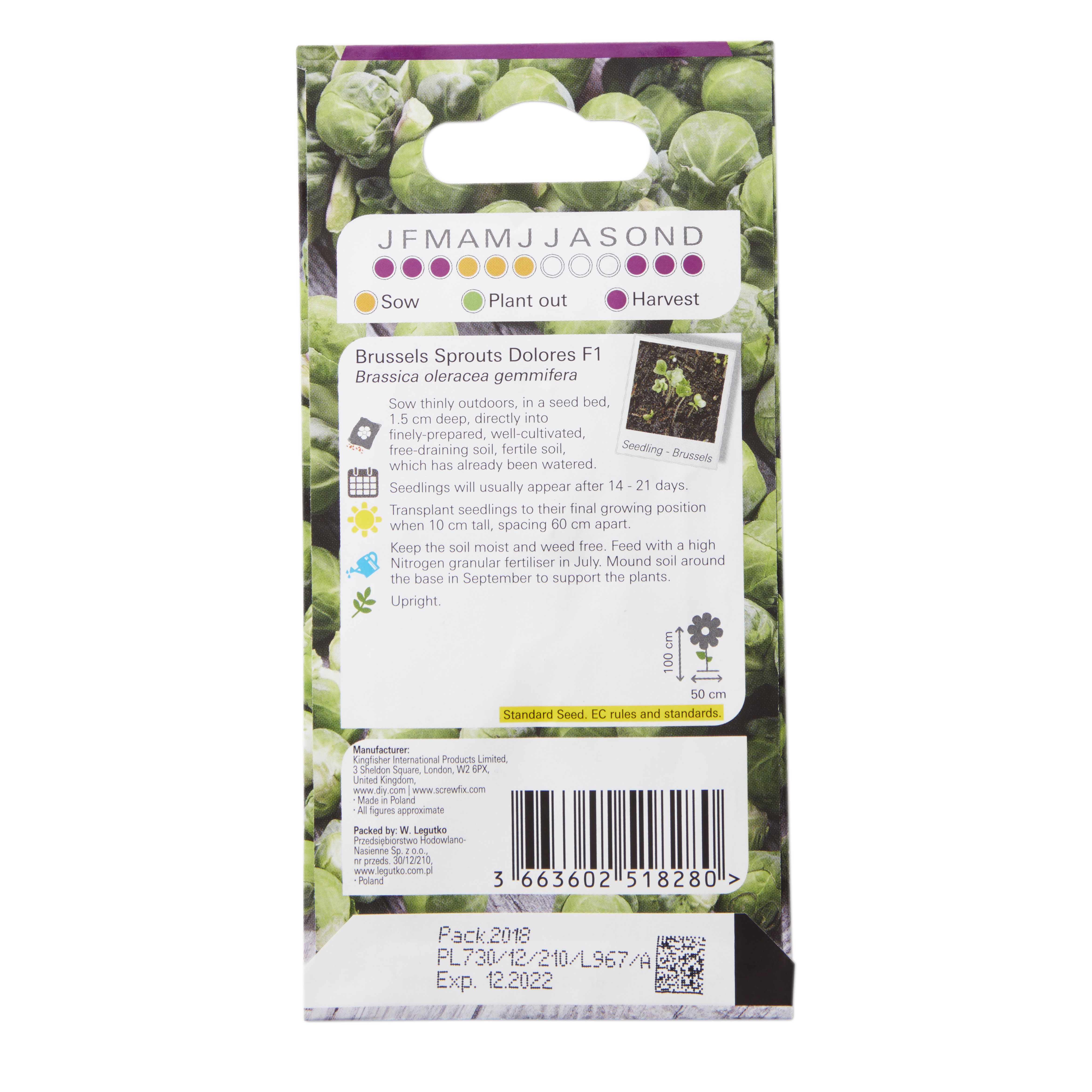 Verve Dolores F1 brussel sprouts Brussel sprout Seed