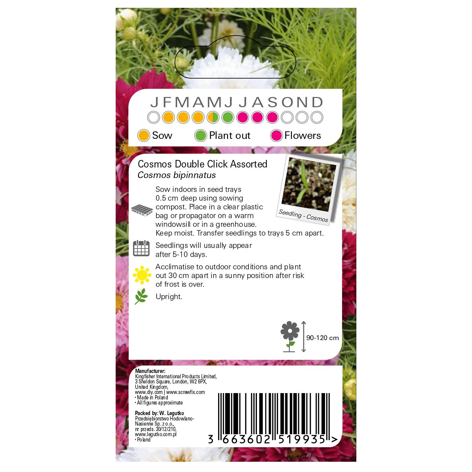 Verve Double click Cosmos Seeds