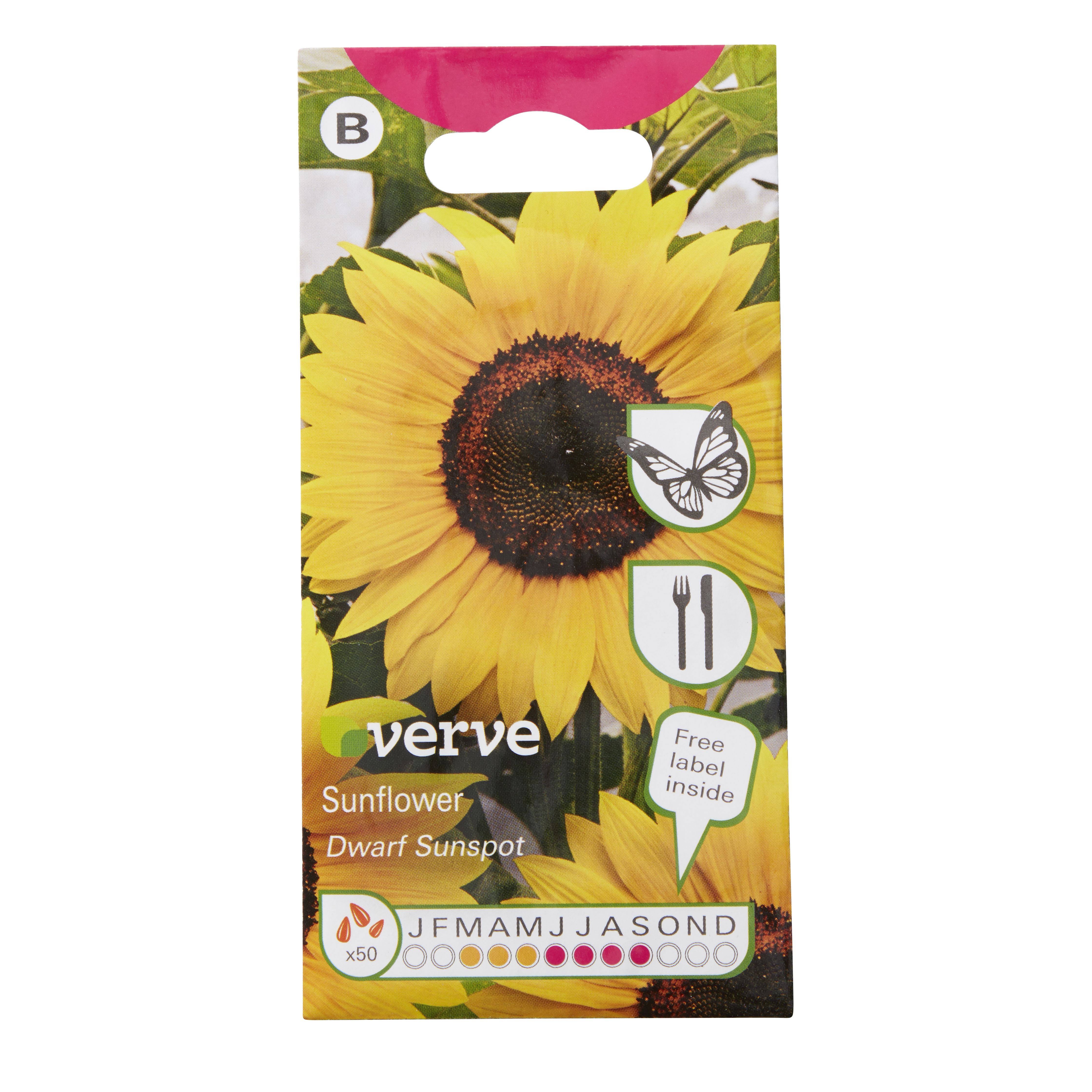 Verve Dwarf sunspot Sunflower Seeds