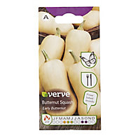 Verve Early butternut squash Seed