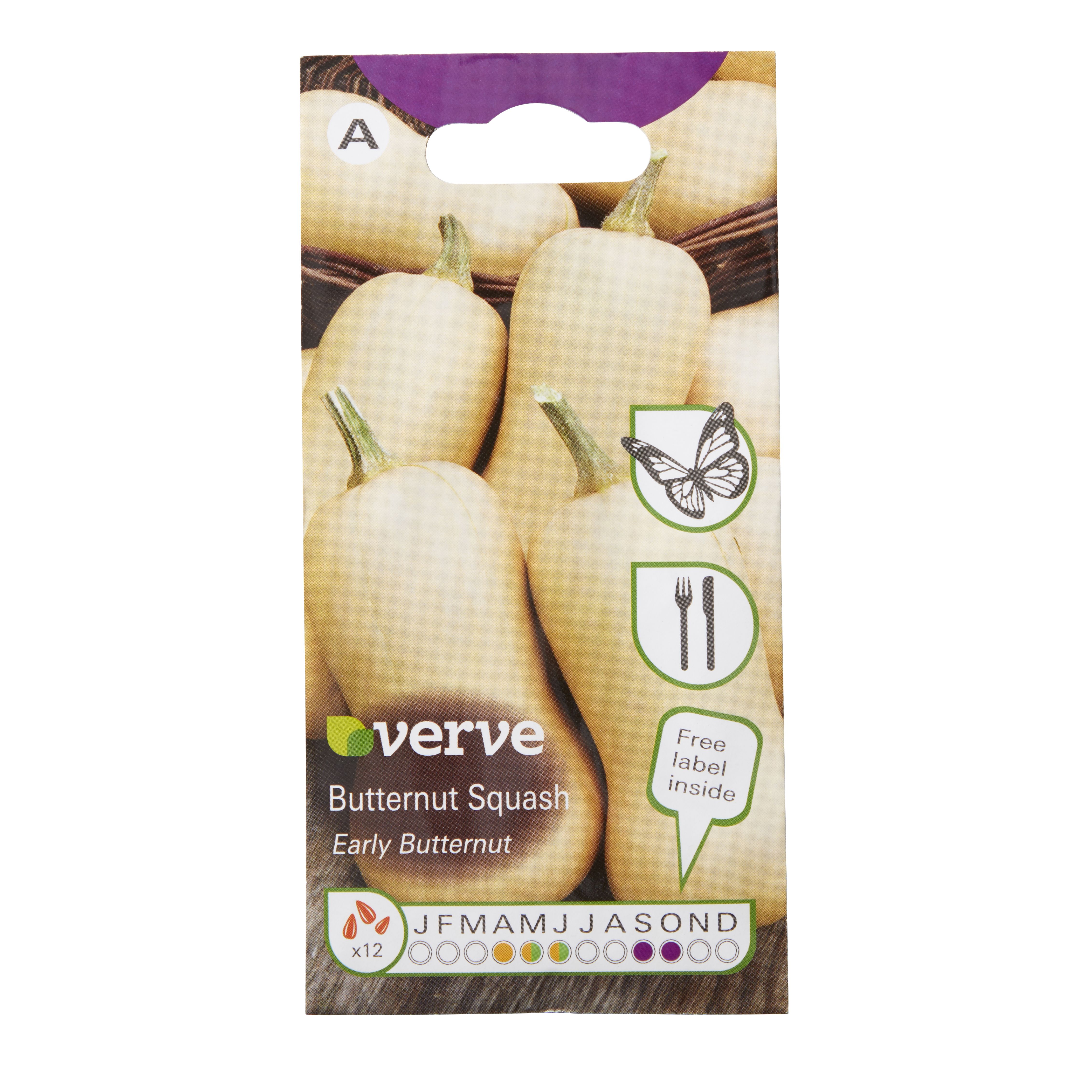 Verve Early butternut Vegetable Seeds