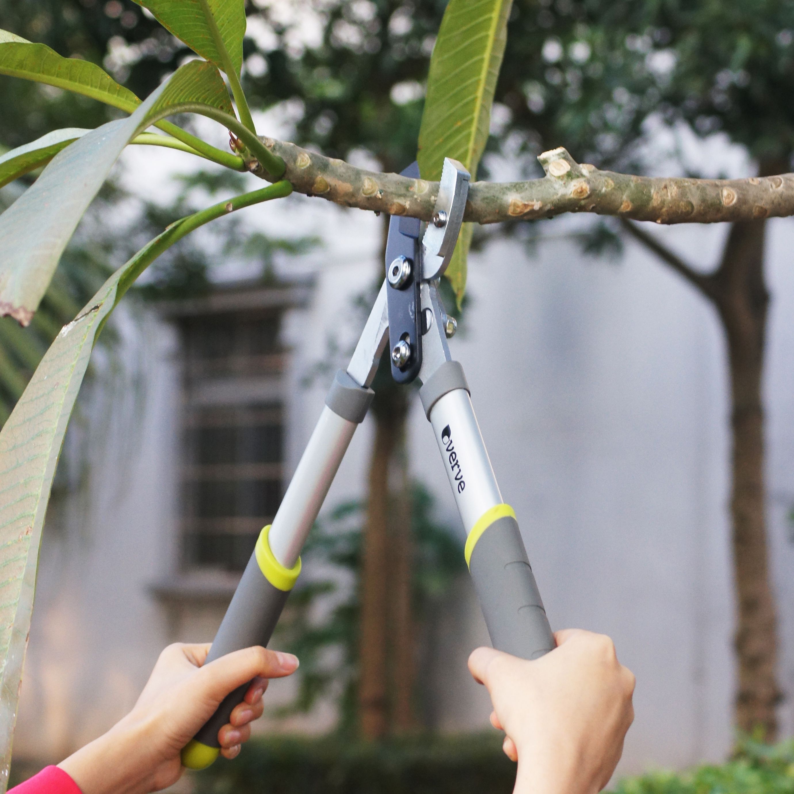 Verve Easy grip Anvil Loppers DIY at B&Q