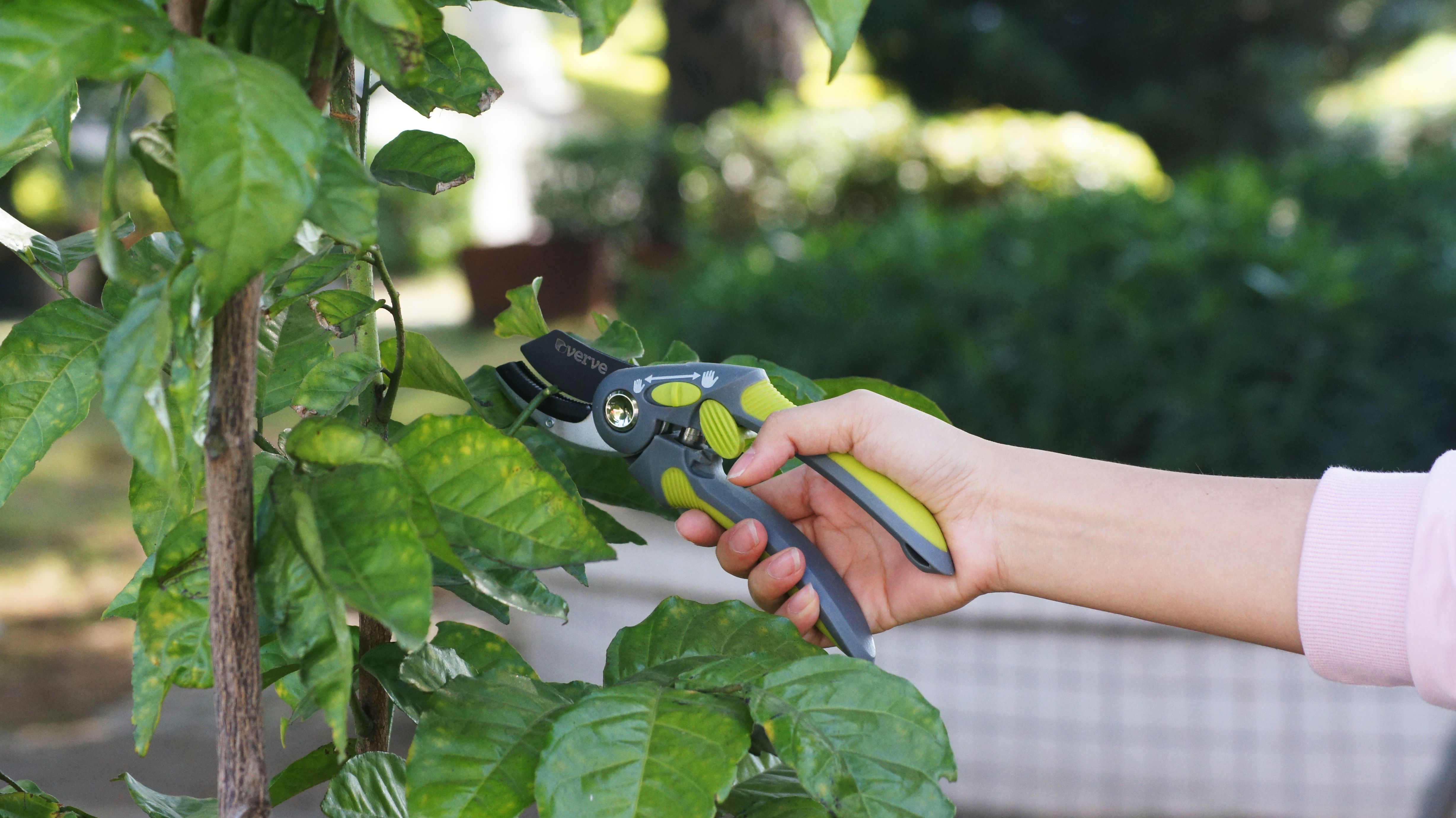 Verve Easy grip Anvil Secateurs