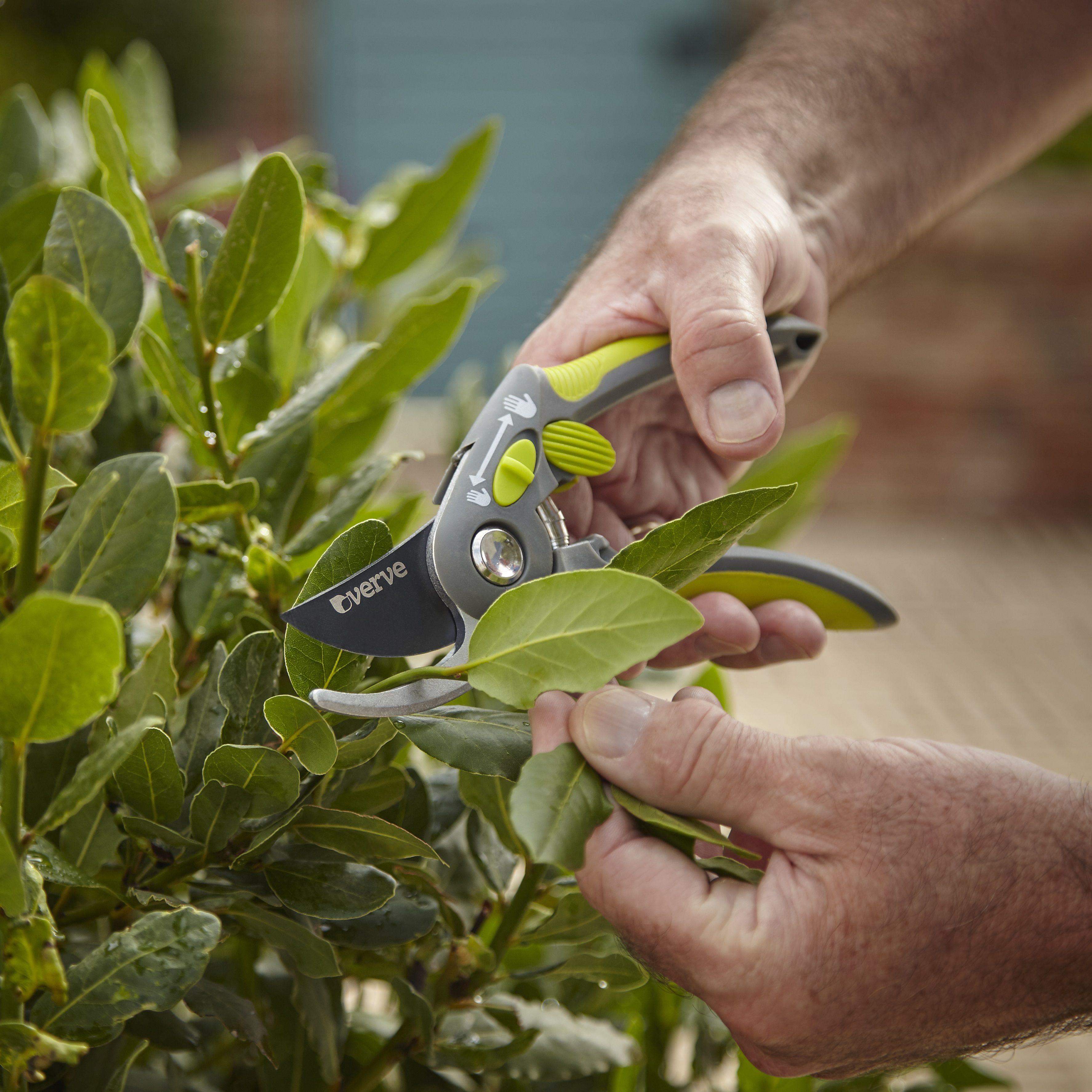 Verve Easy grip Bypass Secateurs