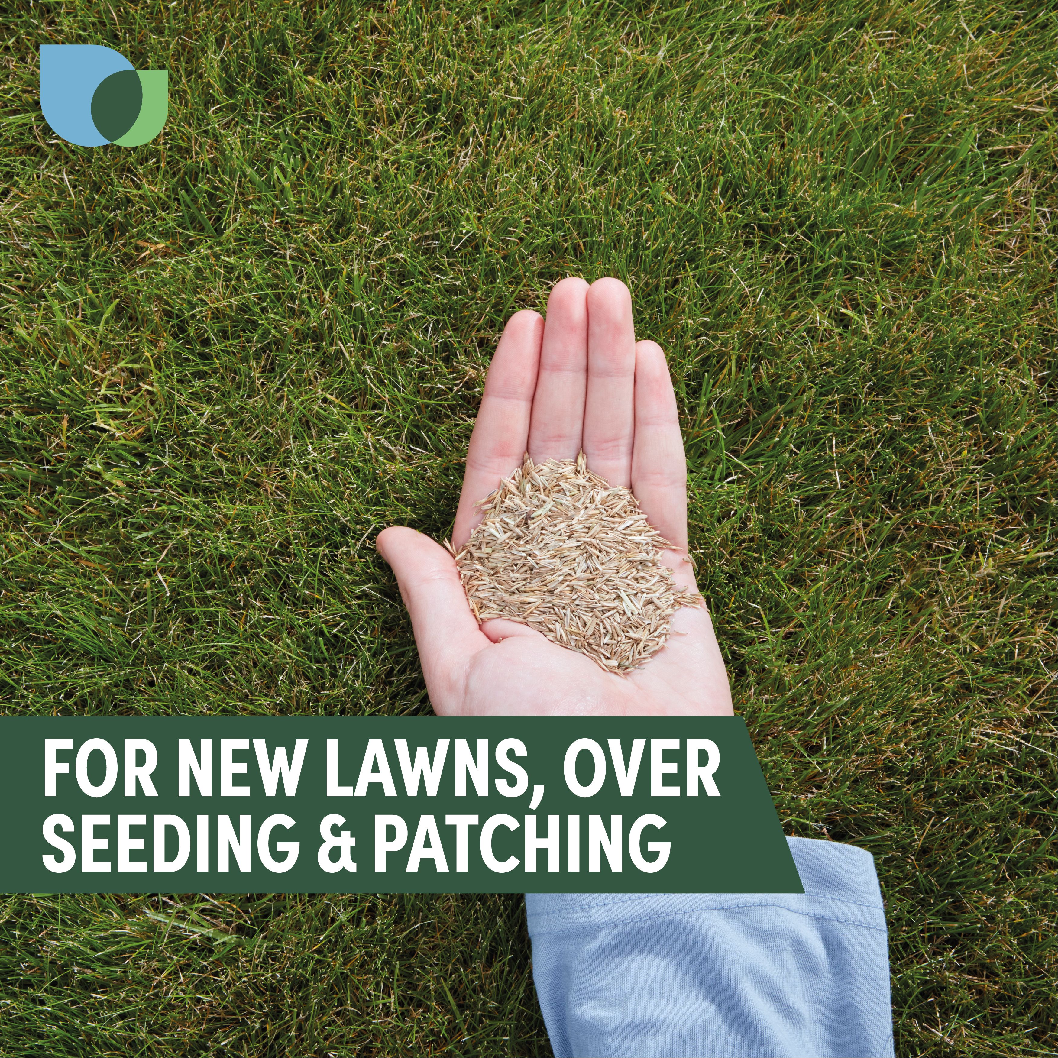 Verve Easy start Grass seeds, 1.5kg
