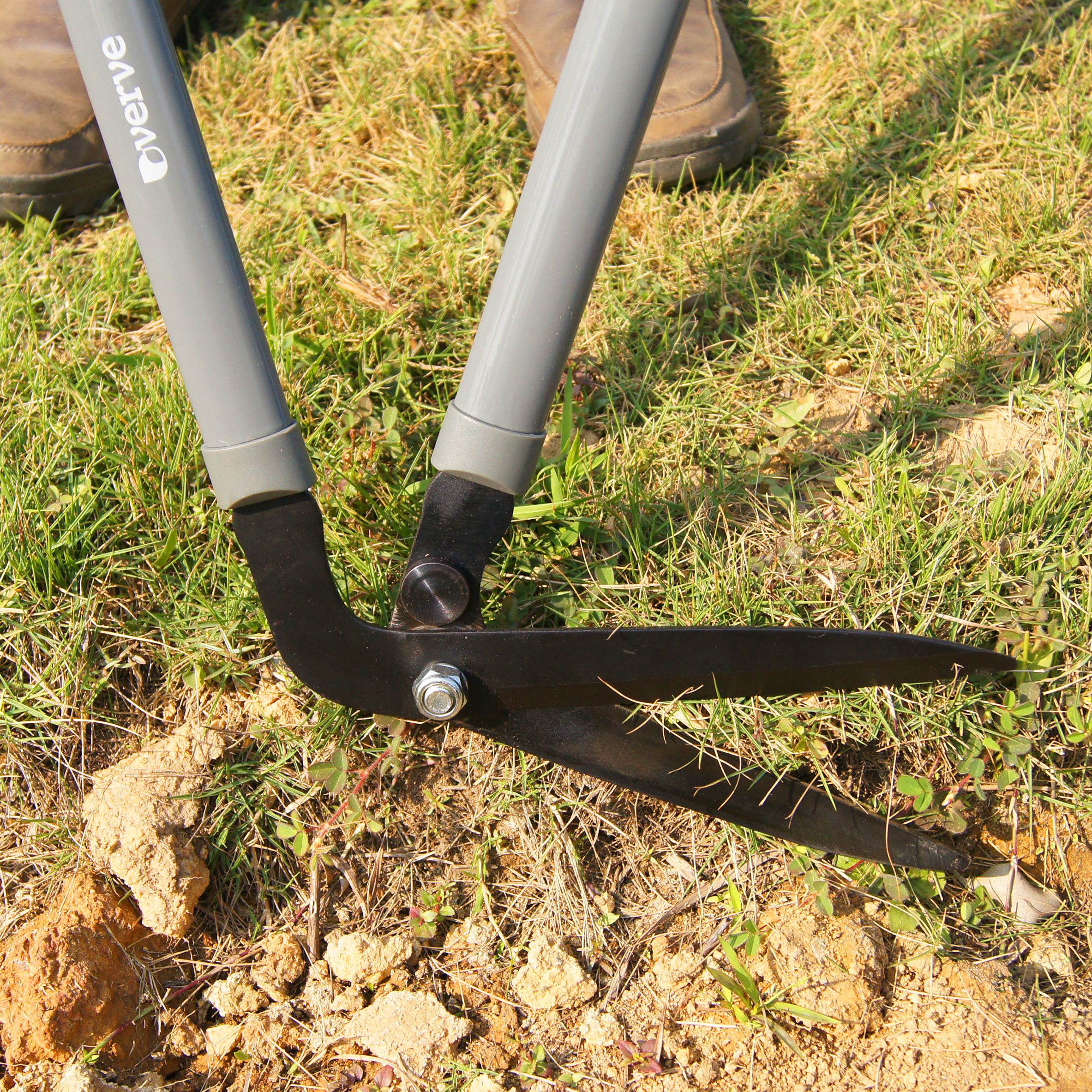 Verve Edging Shears