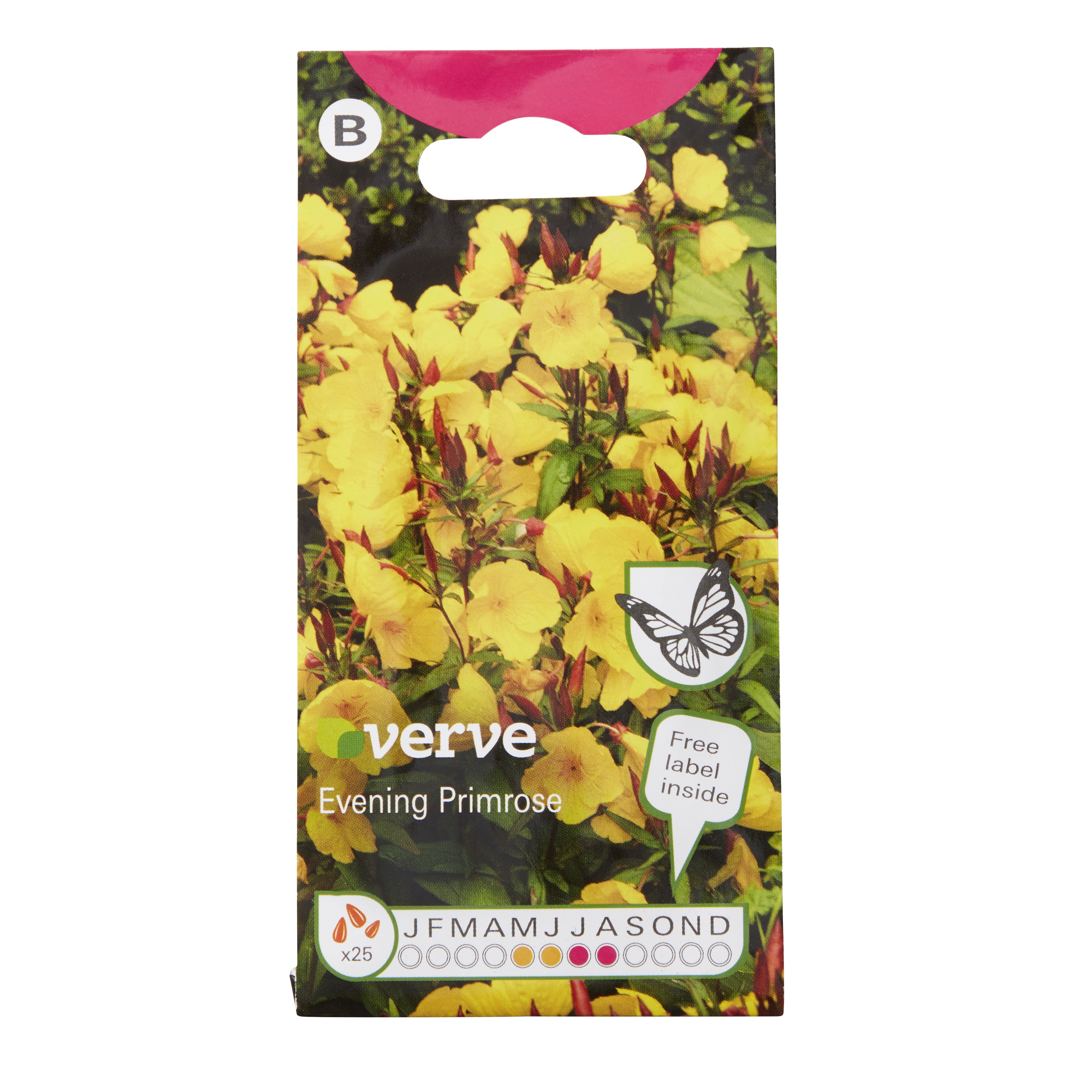 Verve Evening Primrose Seeds