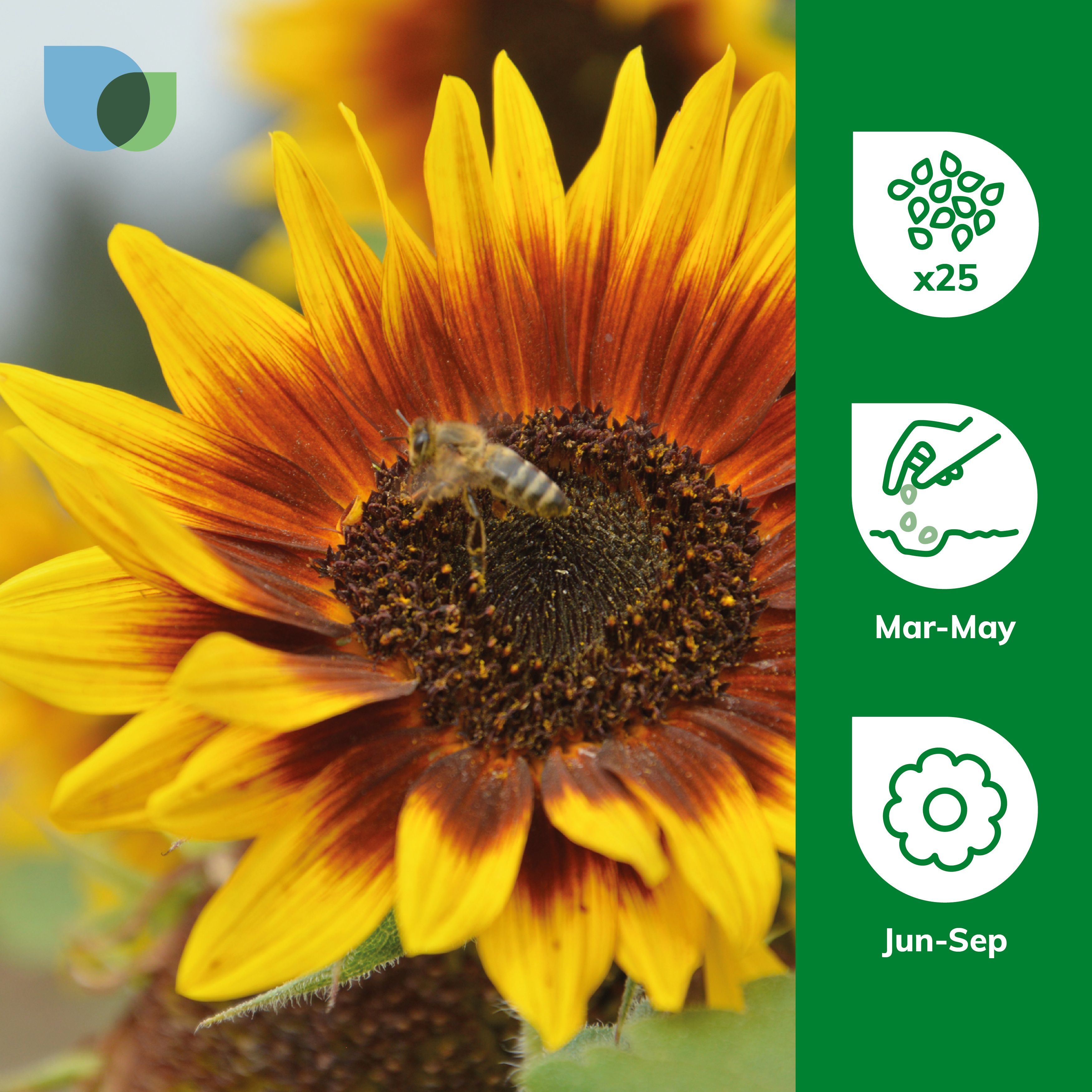 Sunflower ページ SUNFLOWER KIT,Machine Kit,Geringhoff Parts